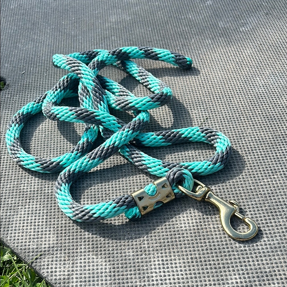 Teal and Gray lead  Rope with Gold Clip